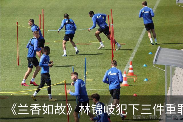 《兰香如故》林锦岐犯下三件重罪，每一件都能灭族，林家如履薄冰