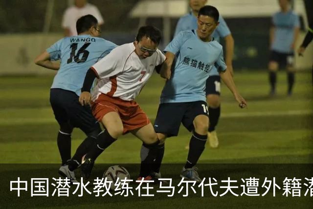 中国潜水教练在马尔代夫遭外籍潜水员拉拽，对方试图摘呼吸器，当事人：现在回想仍后怕；船宿方称已提交调查