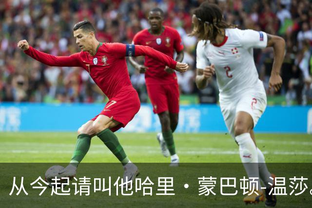 从今起请叫他哈里·蒙巴顿-温莎。这普通公民安保闹剧，该收场了！