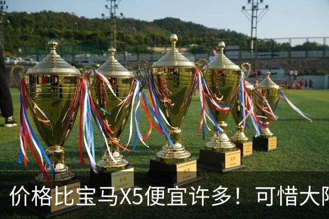 价格比宝马X5便宜许多！可惜大降价也不好卖！9月奥迪Q7仅售490台