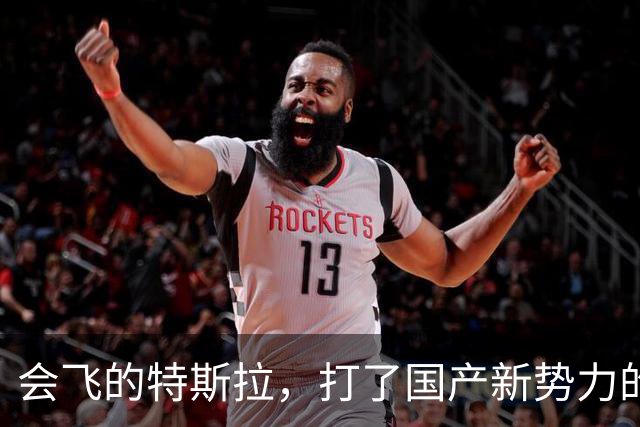 会飞的特斯拉，打了国产新势力的脸