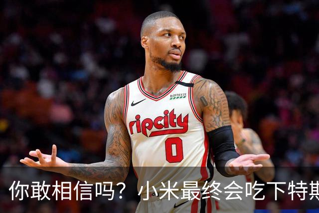 你敢相信吗？小米最终会吃下特斯拉中国的全部市场份额！