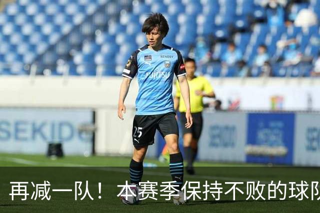 再减一队！本赛季保持不败的球队仅剩3支：火箭、灰熊、开拓者