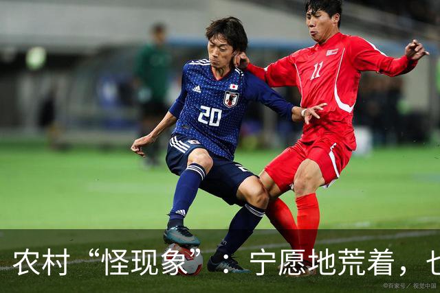农村“怪现象”：宁愿地荒着，也不种粮食，把专家气够呛，咋回事