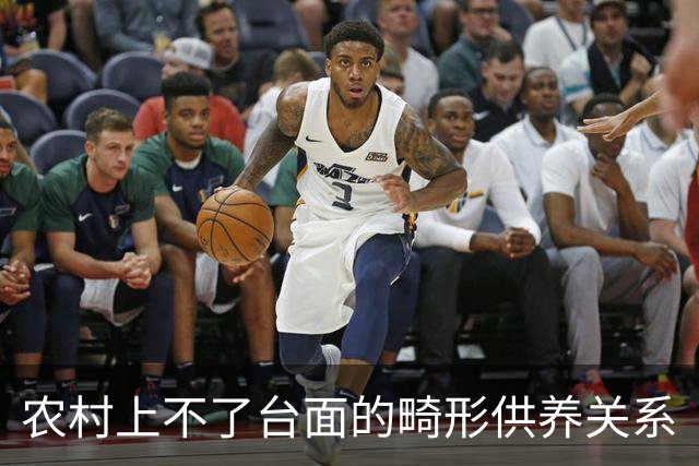农村上不了台面的畸形供养关系