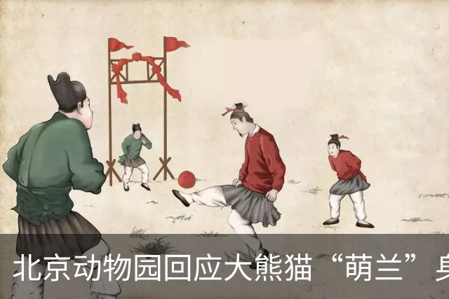 北京动物园回应大熊猫“萌兰”身体状况：已恢复外展 目前状态平稳