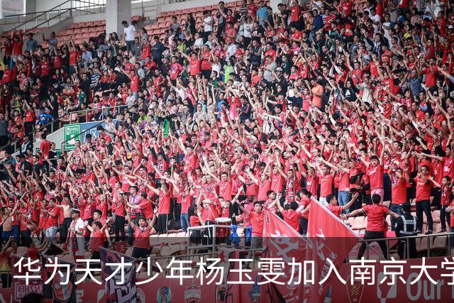 华为天才少年杨玉雯加入南京大学任博导 此前已有两位华为天才少年入职南大