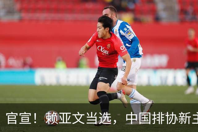 官宣！赖亚文当选，中国排协新主席产生，成女排历史首位