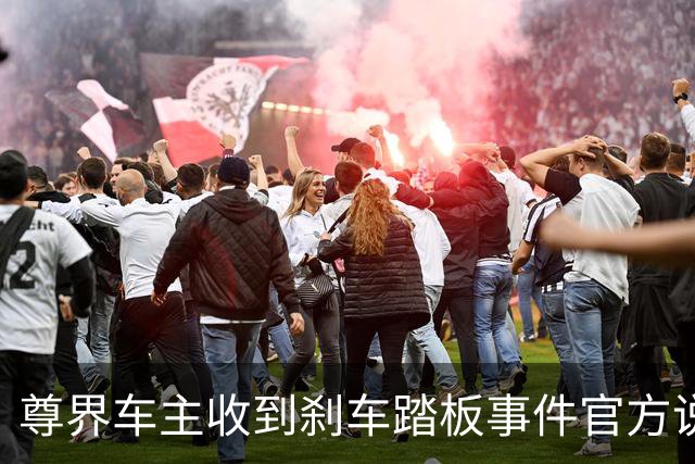 尊界车主收到刹车踏板事件官方说明：加压3000N未断裂损坏