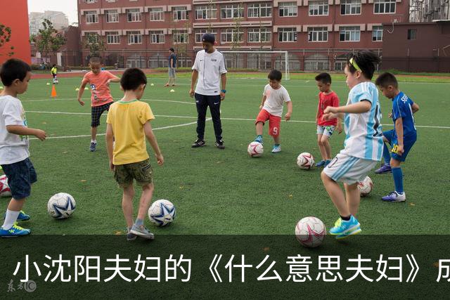 小沈阳夫妇的《什么意思夫妇》成国庆档黑马，逆袭稳居票房第二