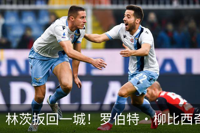 林茨扳回一城！罗伯特·柳比西奇破门