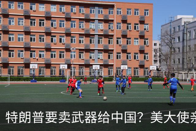 特朗普要卖武器给中国？美大使亲口爆料，对华禁售令成了一张废纸