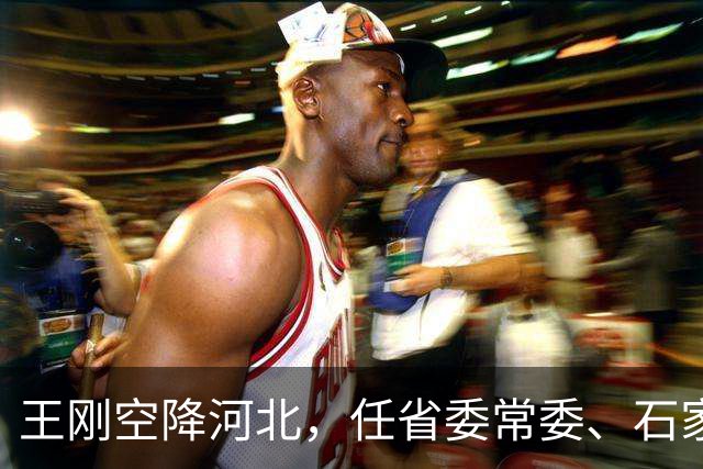 王刚空降河北，任省委常委、石家庄市委书记！