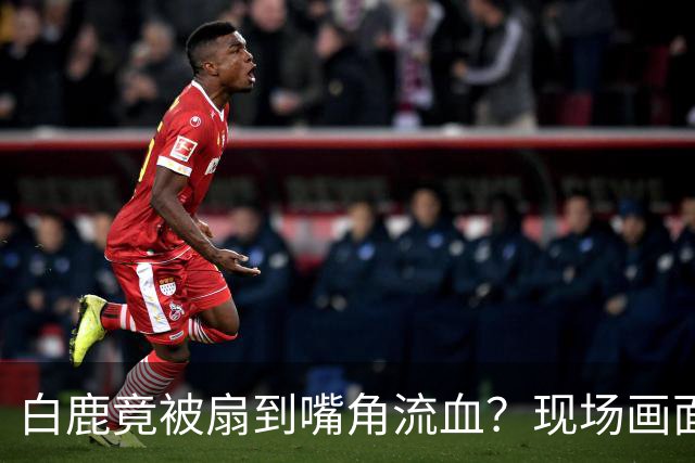 白鹿竟被扇到嘴角流血？现场画面曝光太揪心！