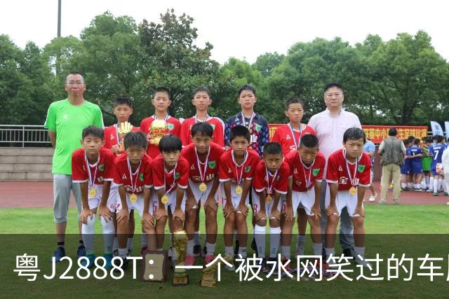 粤J2888T：一个被水网笑过的车牌，后来让我笑不出来了