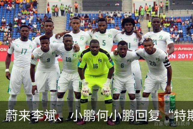 蔚来李斌、小鹏何小鹏回复“特斯拉空中翻滚技术”