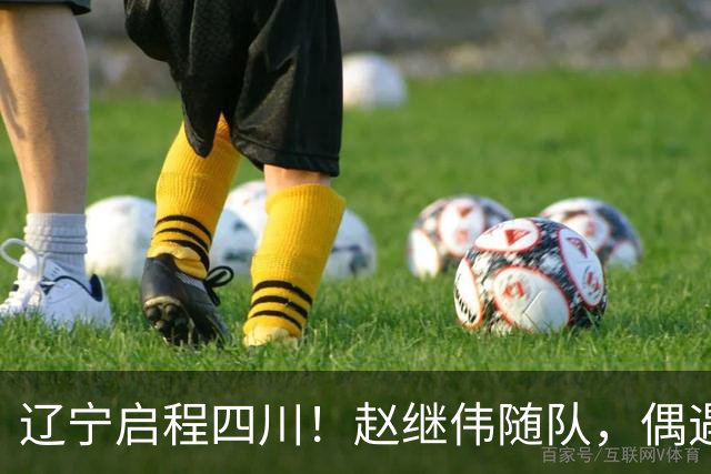 辽宁启程四川！赵继伟随队，偶遇杨鸣展暖心时刻，库珀穿着帅气！