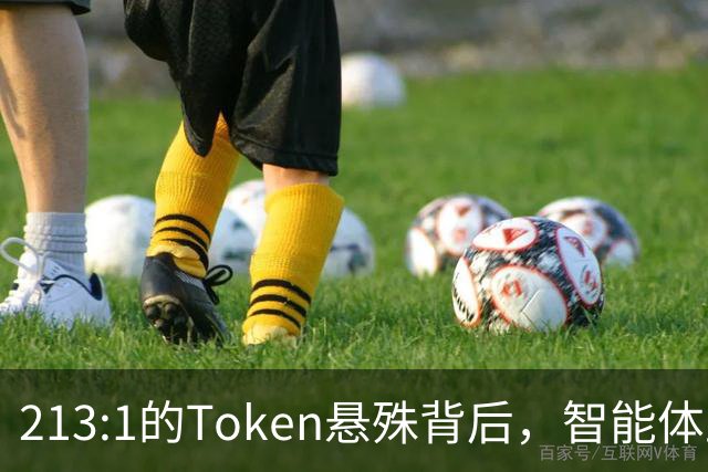 213:1的Token悬殊背后，智能体正在改写推理方式