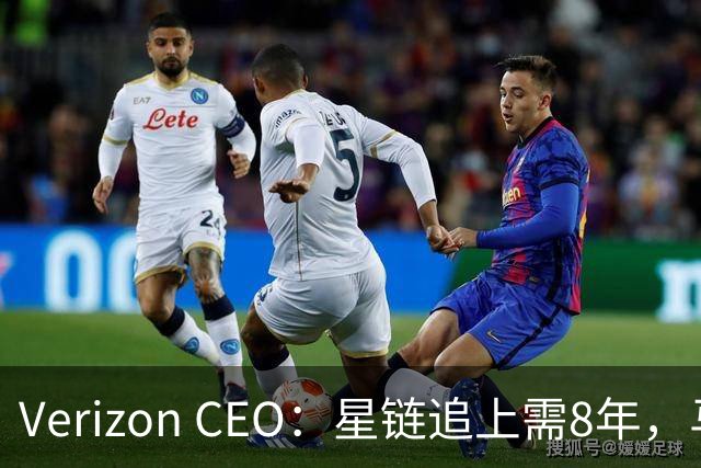 Verizon CEO：星链追上需8年，马斯克：2到3年